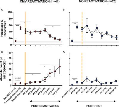 CMV reactivation initiates long-term expansion and differentiation of the NK cell repertoire